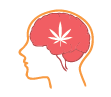 marijuana leaf on brain